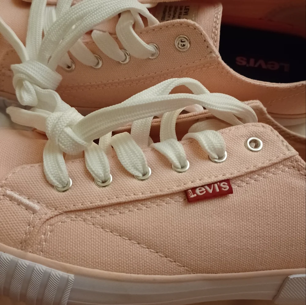Levis levi strauss